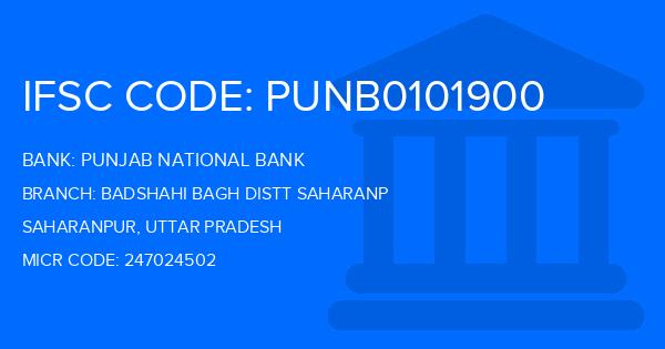 Punjab National Bank (PNB) Badshahi Bagh Distt Saharanp Branch IFSC Code