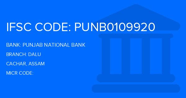 Punjab National Bank (PNB) Dalu Branch IFSC Code