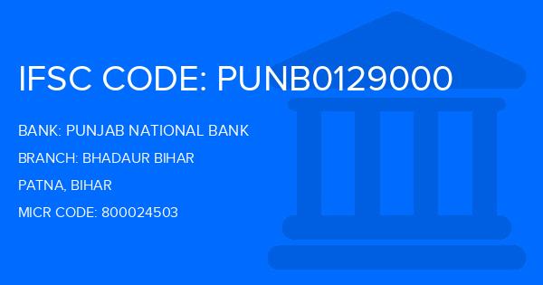 Punjab National Bank (PNB) Bhadaur Bihar Branch IFSC Code