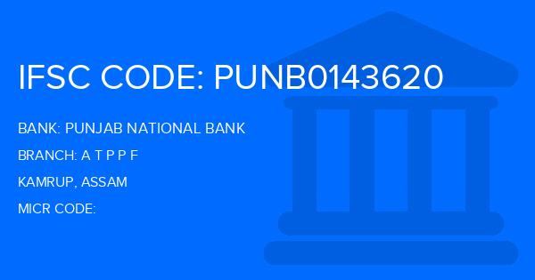 Punjab National Bank (PNB) A T P P F Branch IFSC Code