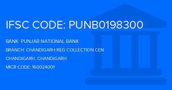 Punjab National Bank (PNB) Chandigarh Reg Collection Cen Branch IFSC Code