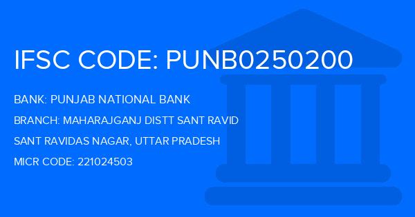 Punjab National Bank (PNB) Maharajganj Distt Sant Ravid Branch IFSC Code