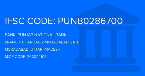 Punjab National Bank (PNB) Chandausi Moradabad Gate Branch IFSC Code