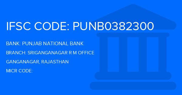 Punjab National Bank (PNB) Sriganganagar R M Office Branch IFSC Code