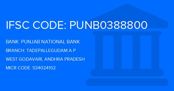 Punjab National Bank (PNB) Tadepallegudam A P Branch IFSC Code