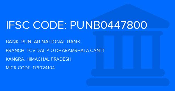 Punjab National Bank (PNB) Tcv Dal P O Dharamshala Cantt Branch IFSC Code