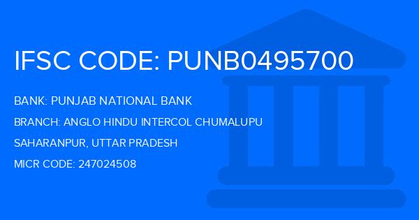 Punjab National Bank (PNB) Anglo Hindu Intercol Chumalupu Branch IFSC Code