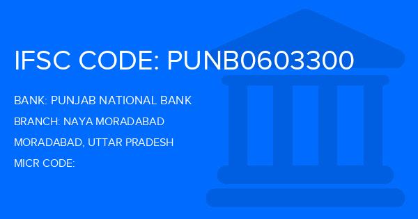 Punjab National Bank (PNB) Naya Moradabad Branch IFSC Code