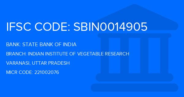 State Bank Of India (SBI) Indian Institute Of Vegetable Research Branch IFSC Code