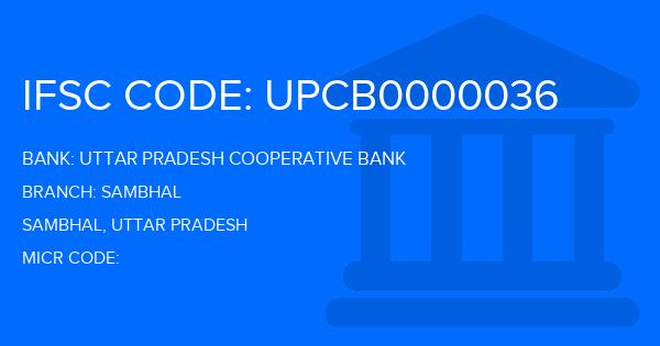 Uttar Pradesh Cooperative Bank Sambhal Branch IFSC Code